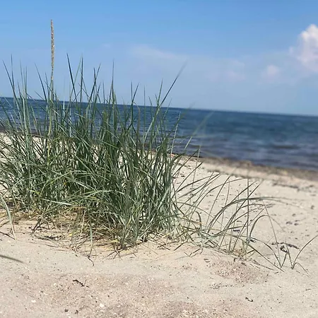 Spacious With Views Over Limfjorden Jorsby